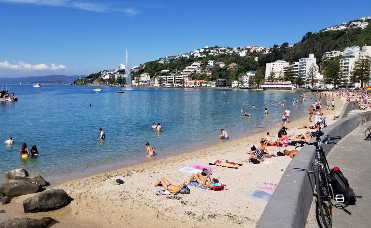 Фото Freyberg Beach с светлый песок поверхностью