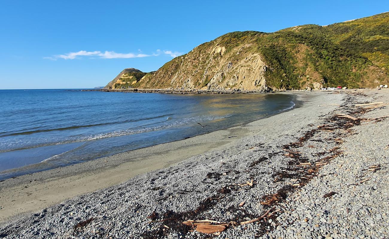 Фото Makara Beach с серая галька поверхностью