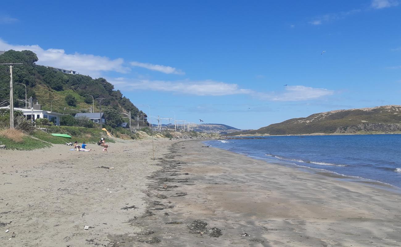 Фото Plimmerton Beach с серый песок поверхностью