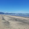 Paraparaumu Beach