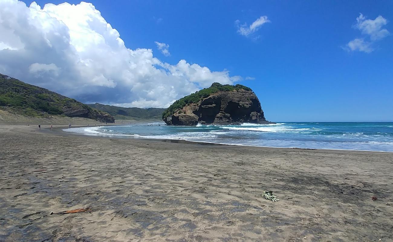 Фото Te Henga Beach с золотистый песок поверхностью