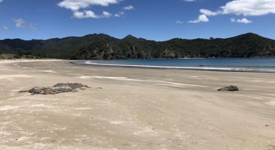 Harataonga Bay Beach