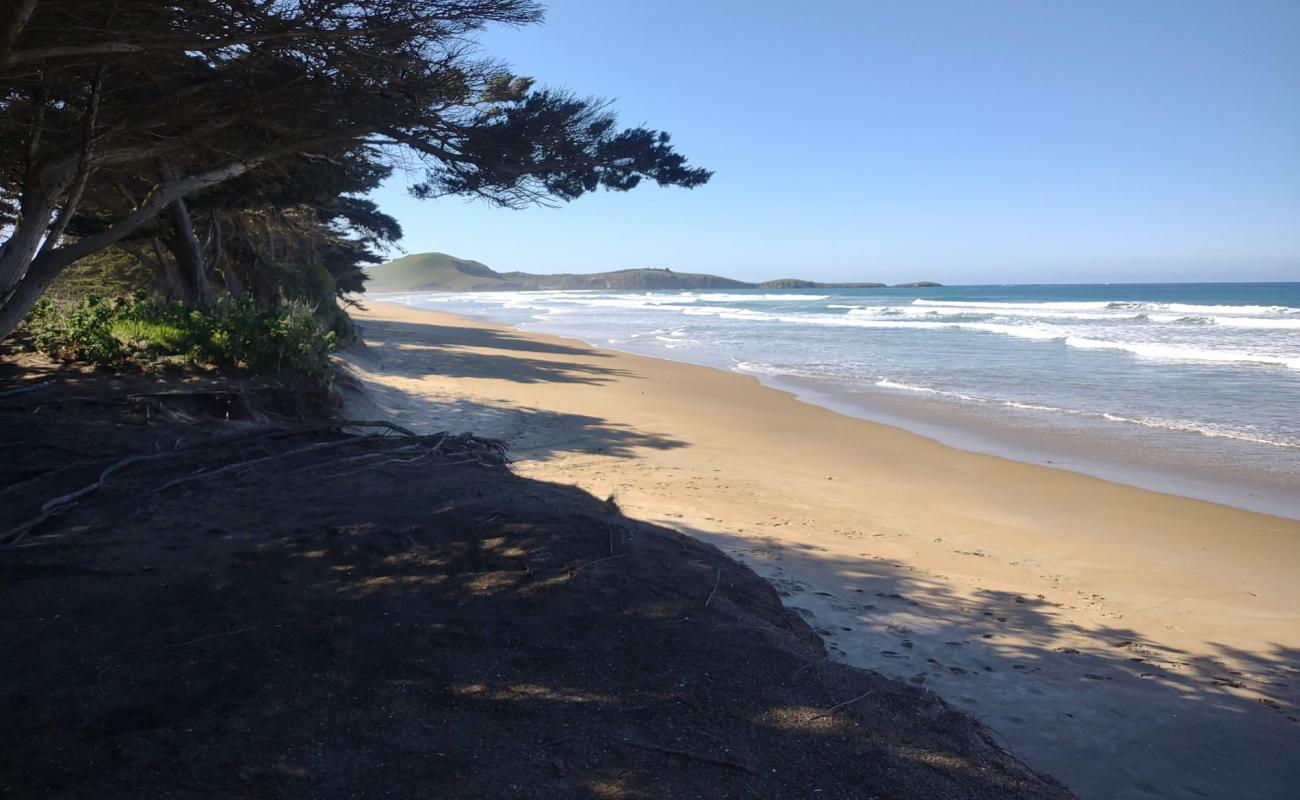 Фото Katiki Beach с светлый песок поверхностью