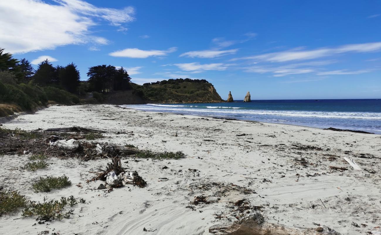 Фото Karitane Beach с светлый песок поверхностью