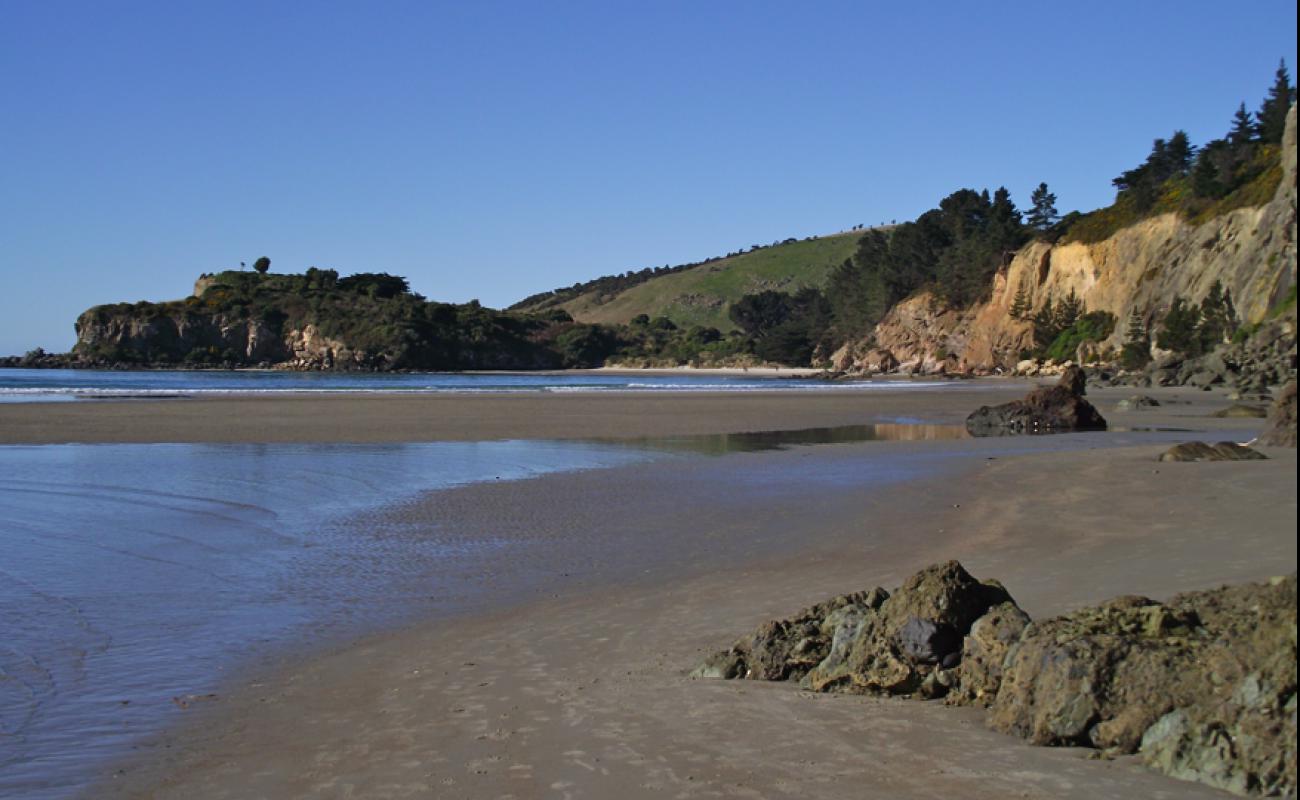 Фото Purakaunui Beach с светлый песок поверхностью