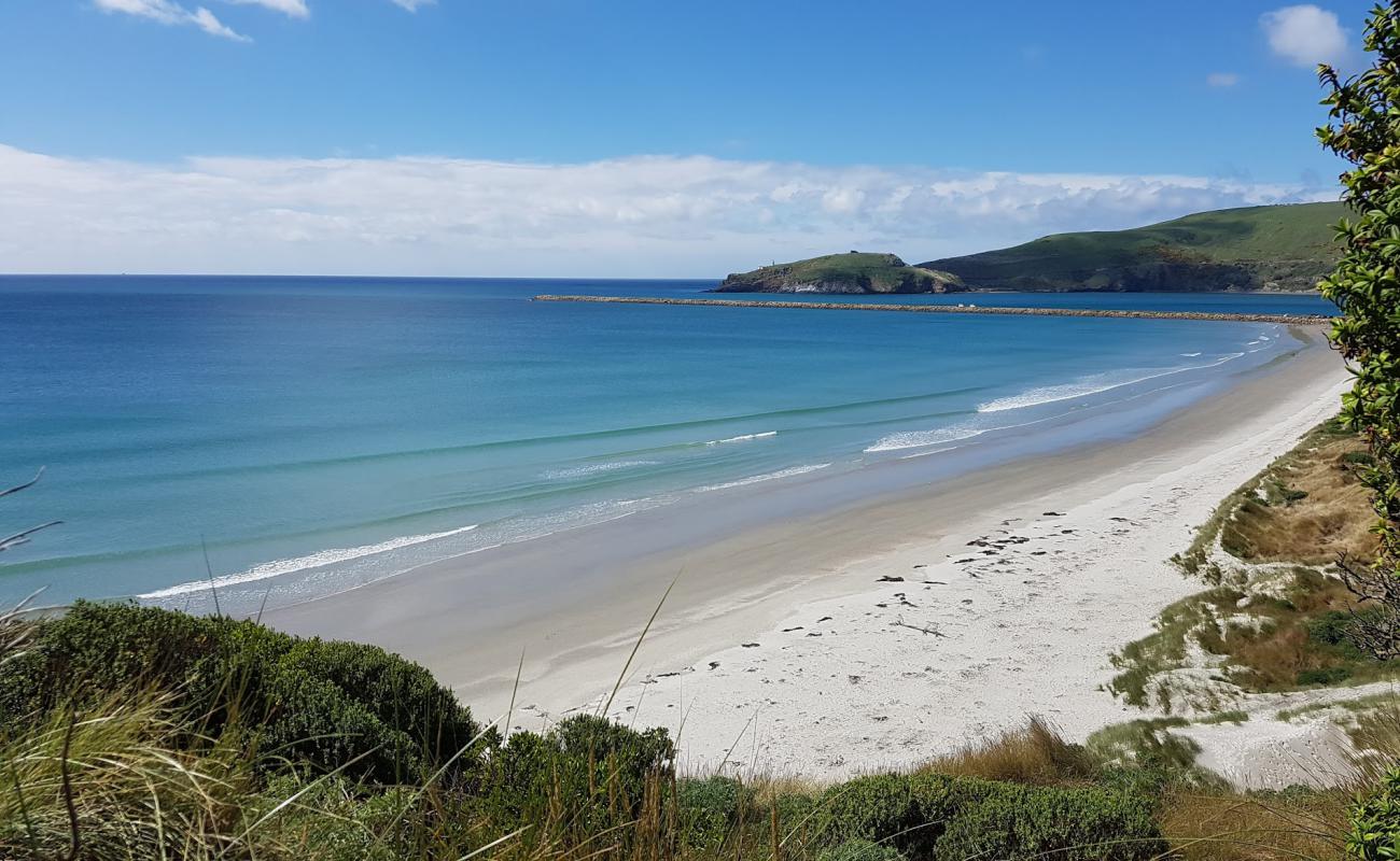 Фото Aramoana Beach с светлый песок поверхностью