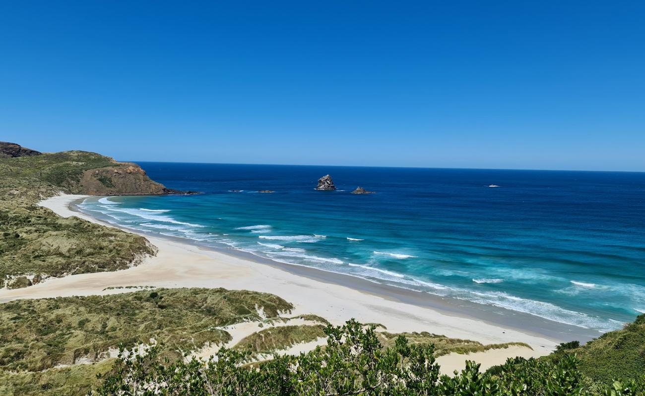 Фото Sandfly Bay Beach с золотистый песок поверхностью