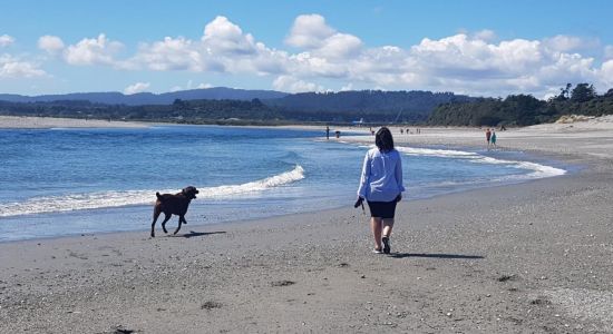 Serpentine Beach