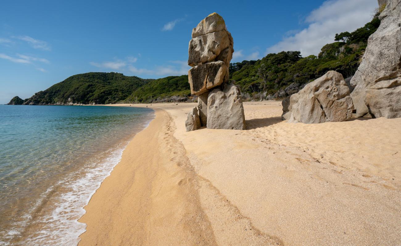 Фото Anapai Beach с золотистый песок поверхностью