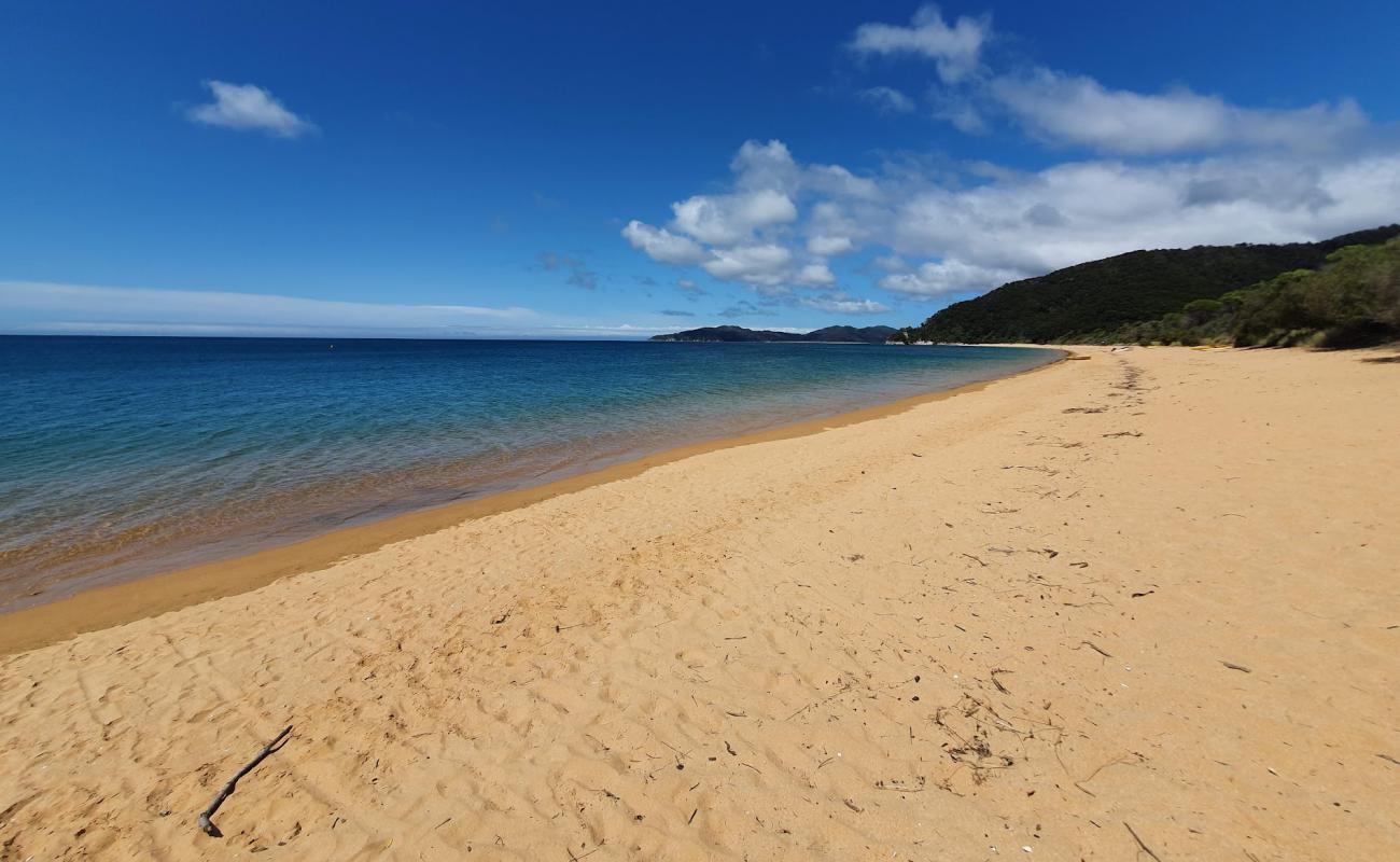 Фото Totaranui Beach с золотистый песок поверхностью