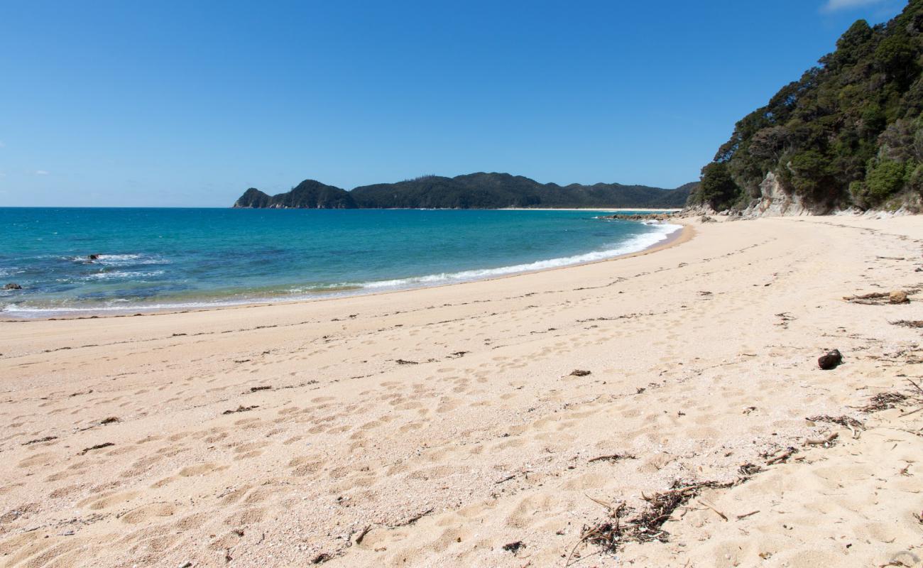 Фото Waiharakeke Bay Beach с золотистый песок поверхностью