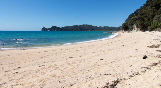 Waiharakeke Bay Beach