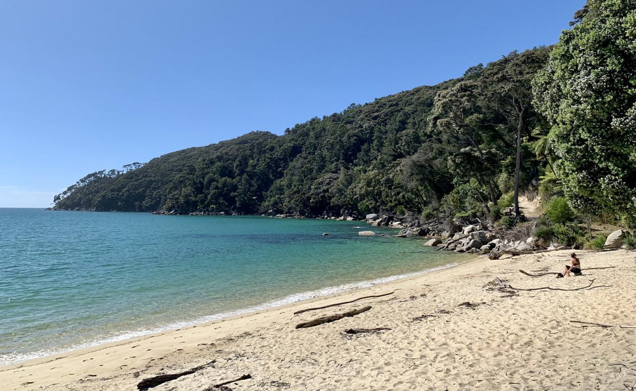 Фото Bark Bay Beach с золотистый песок поверхностью