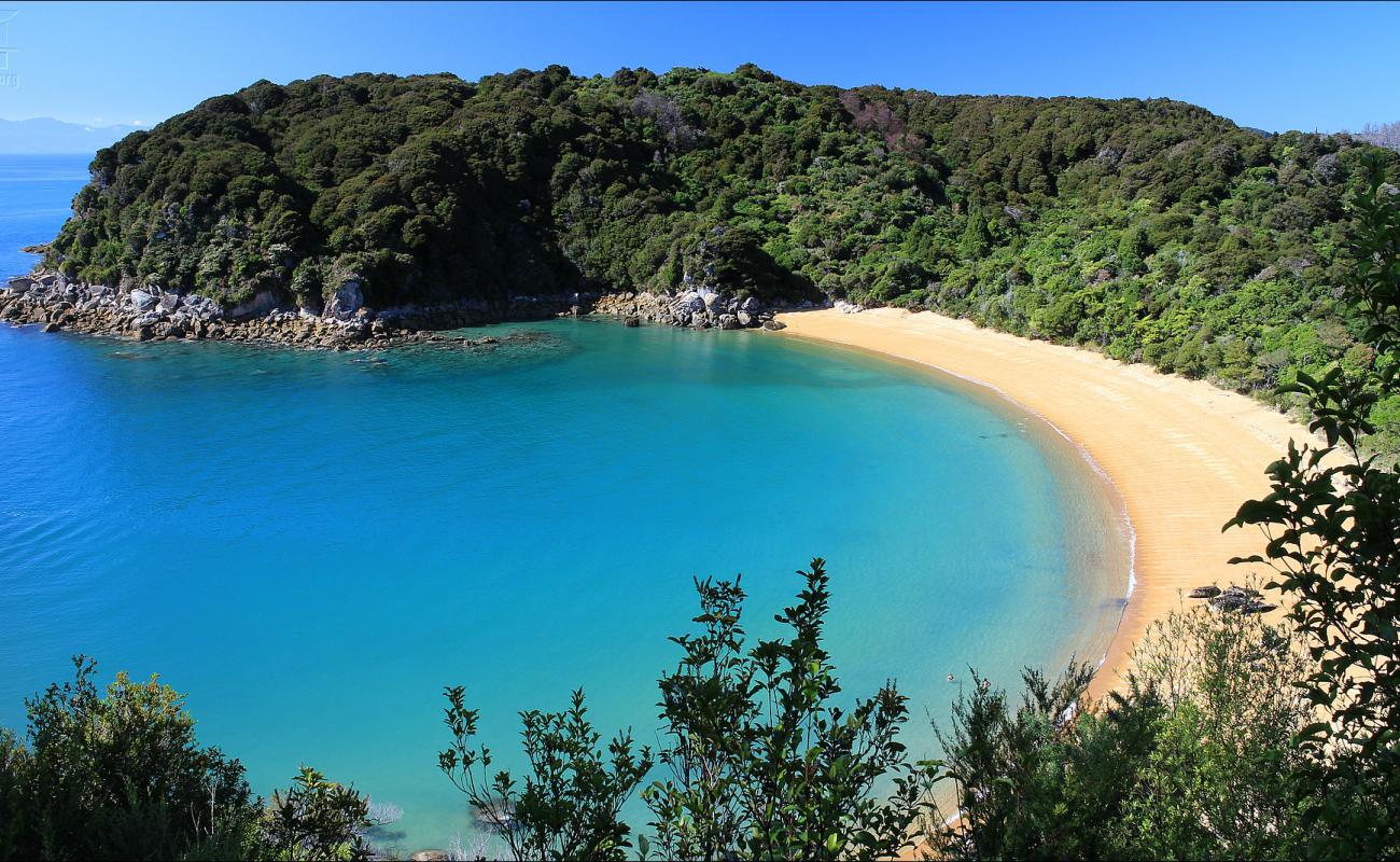 Фото Te Pukatea Beach с золотистый песок поверхностью