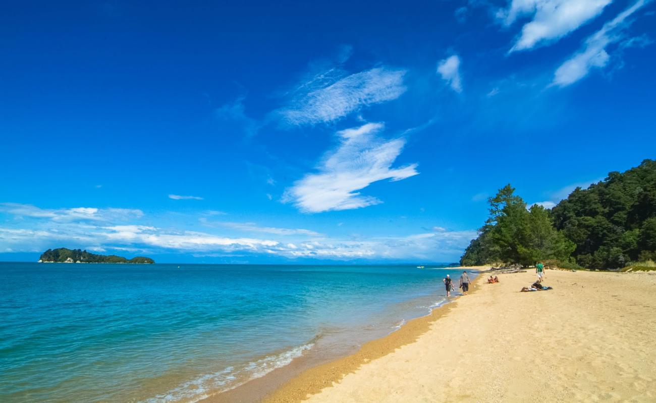 Фото Ngaio Bay Beach с светлый песок поверхностью