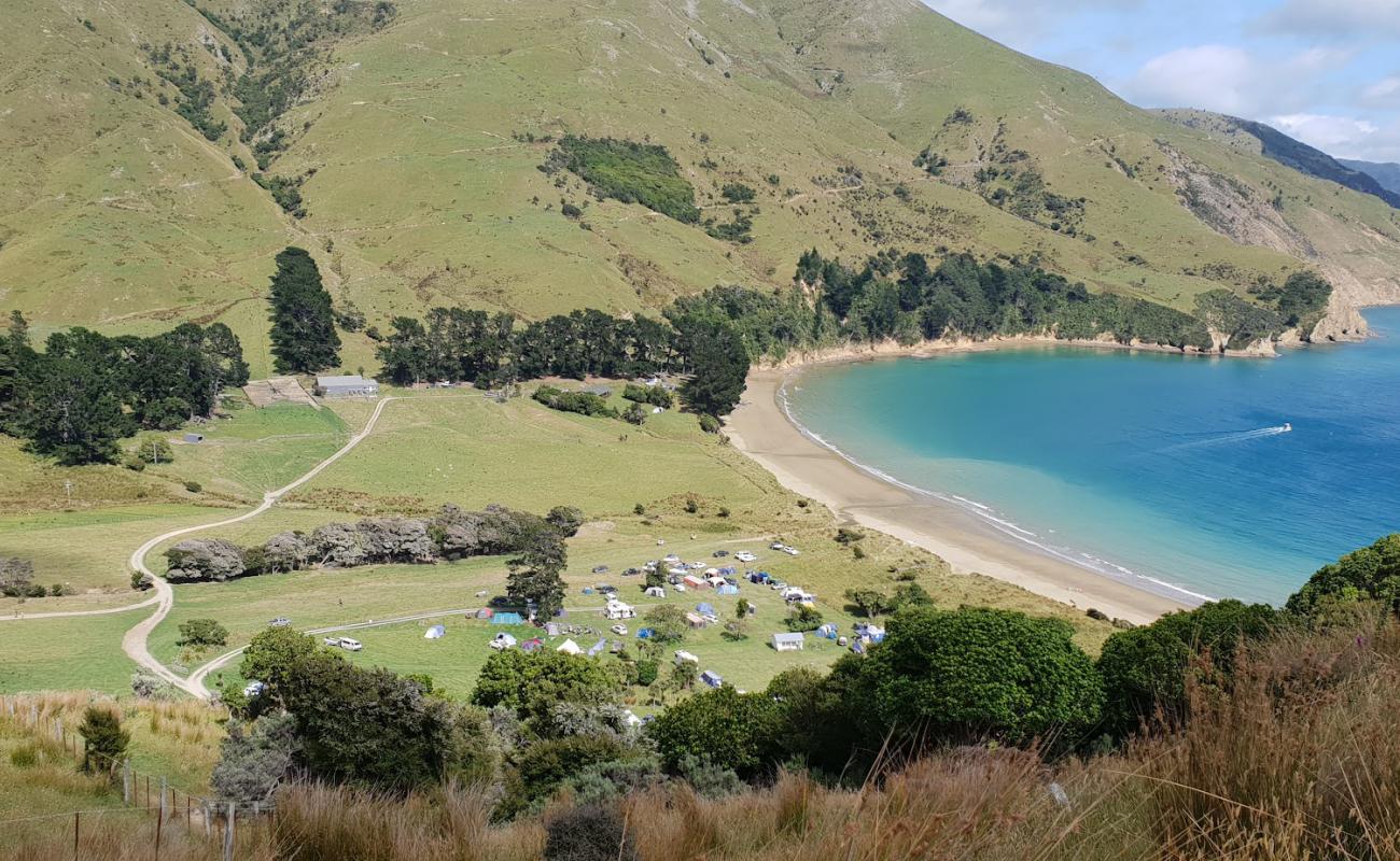 Фото Titirangi Beach с светлый песок поверхностью