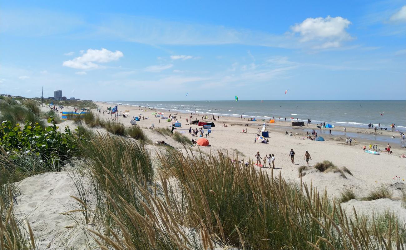 Фото Groenendijk Strand с светлый песок поверхностью