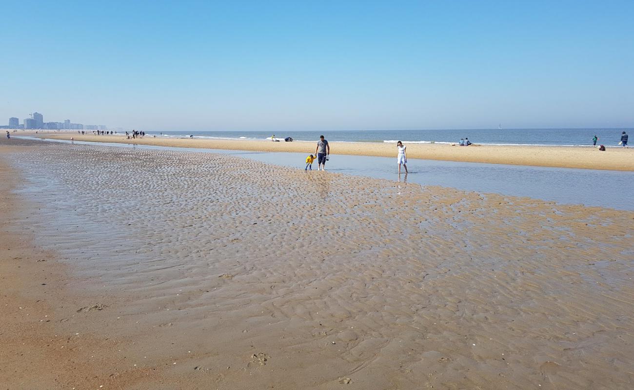 Фото Plage de Oostende с светлый песок поверхностью