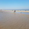 Plage de Oostende