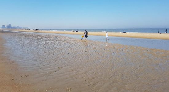 Plage de Oostende