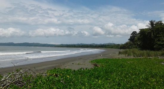 El Palmar Coronado Beach