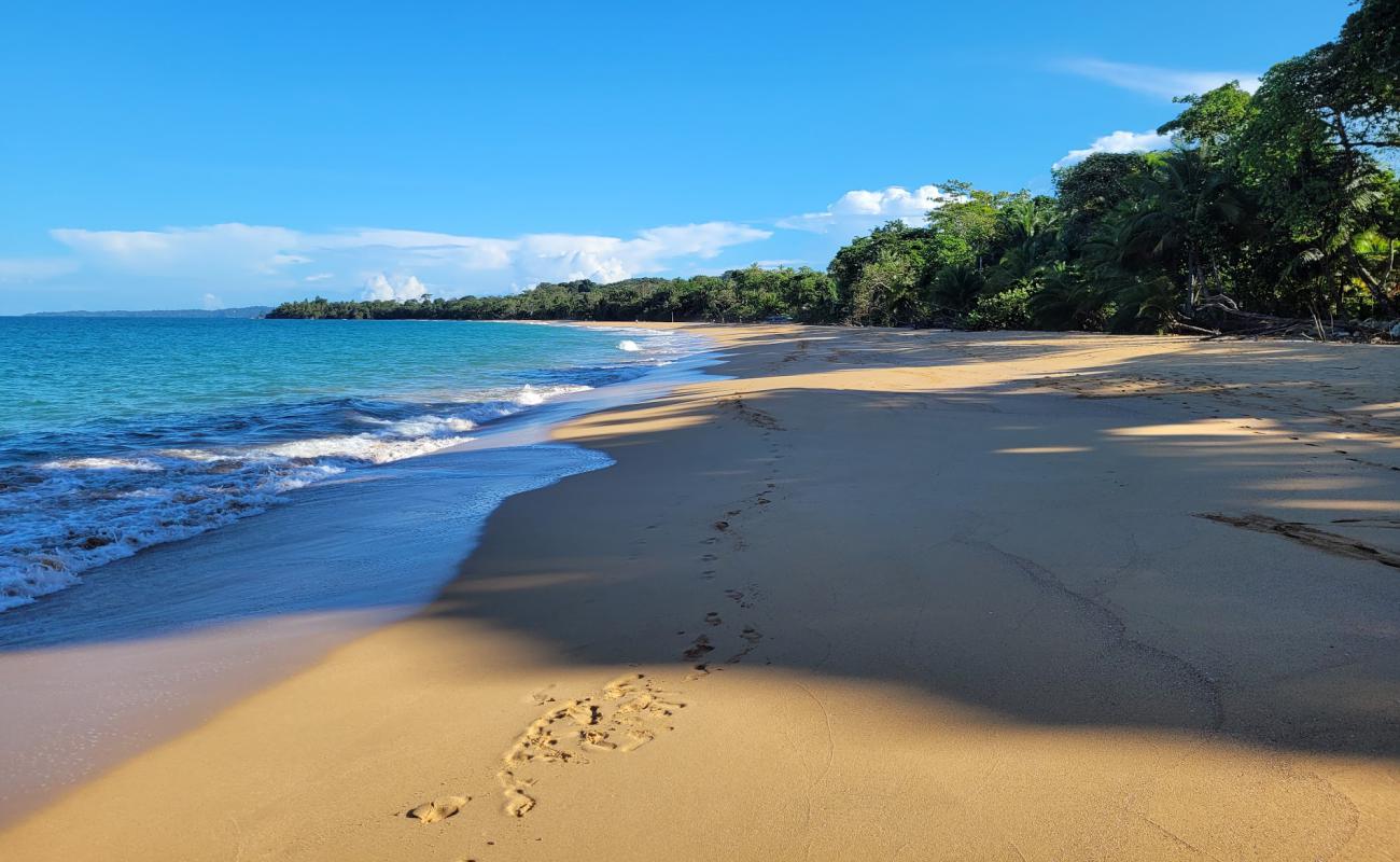 Фото Bluff Beach с светлый песок поверхностью