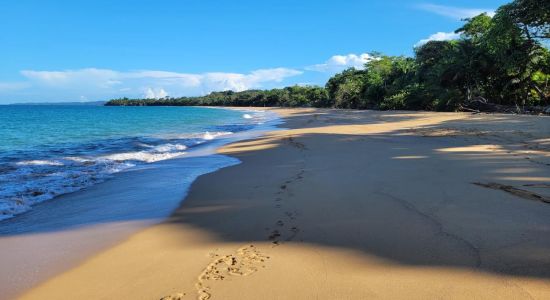 Bluff Beach