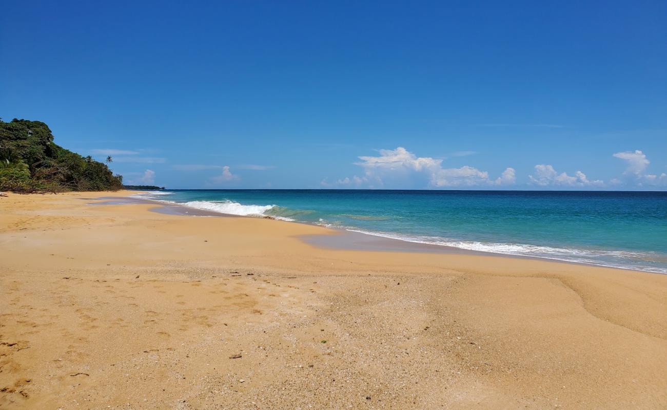 Фото Escondida Beach с светлый песок поверхностью