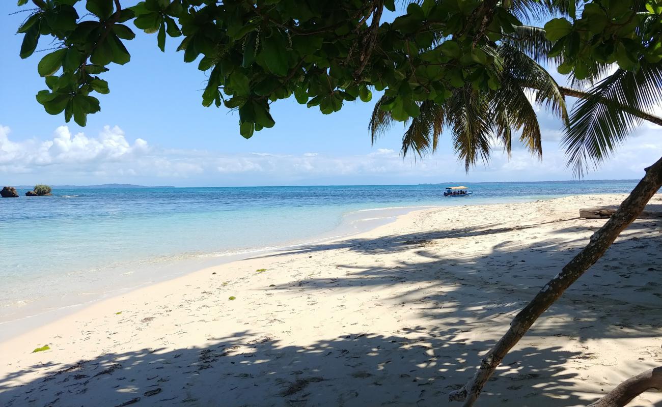 Фото Cayo Zapatilla Beach с светлый песок поверхностью