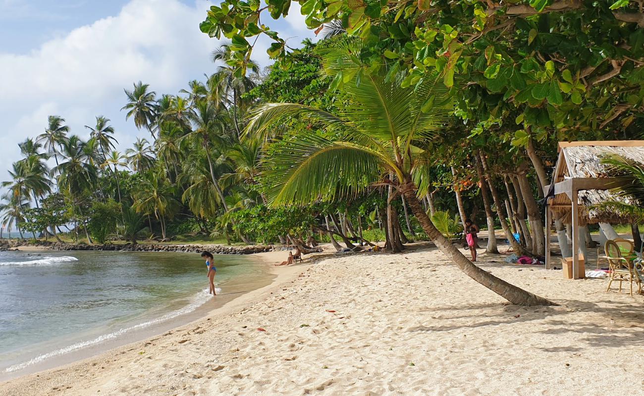 Фото Isla Mamey Beach с светлый песок поверхностью