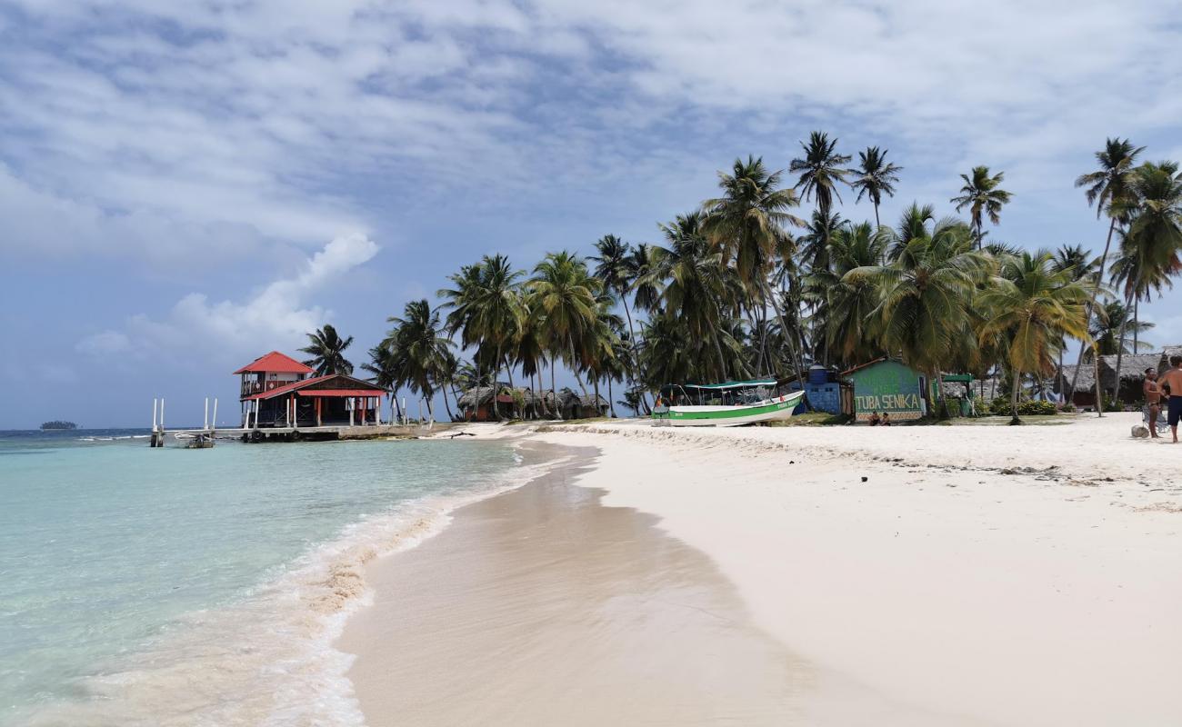 Фото Islas Franklin Beach с золотистый песок поверхностью