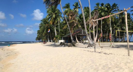 Grassland Island beach