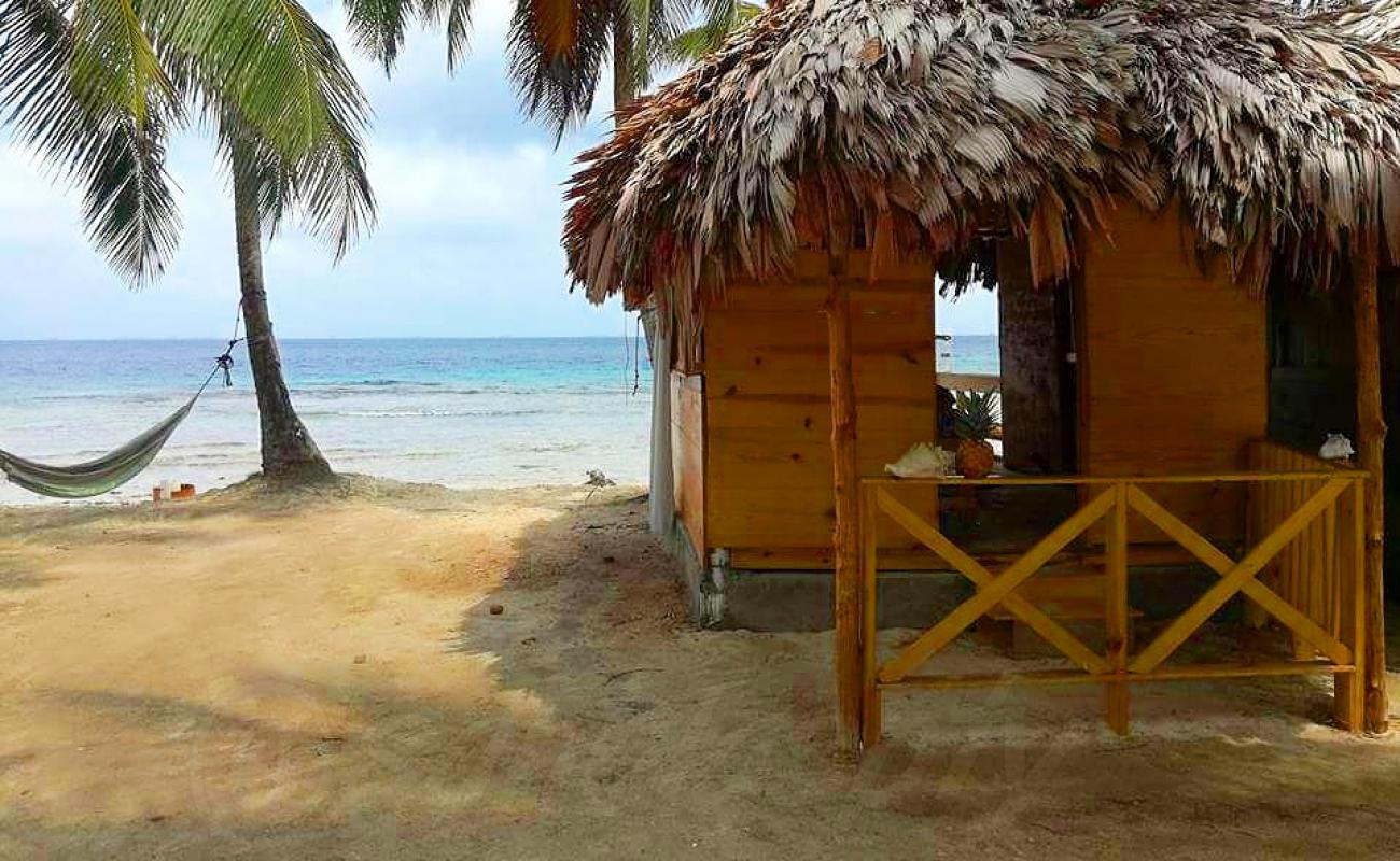 Фото San Blas Pty beach с золотистый песок поверхностью