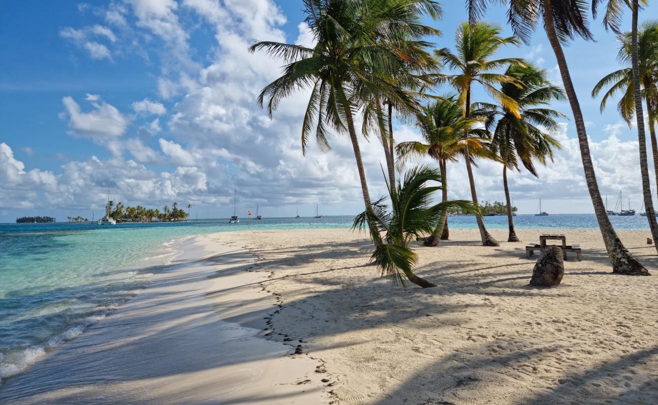 Фото Big Dog Island beach с белый чистый песок поверхностью