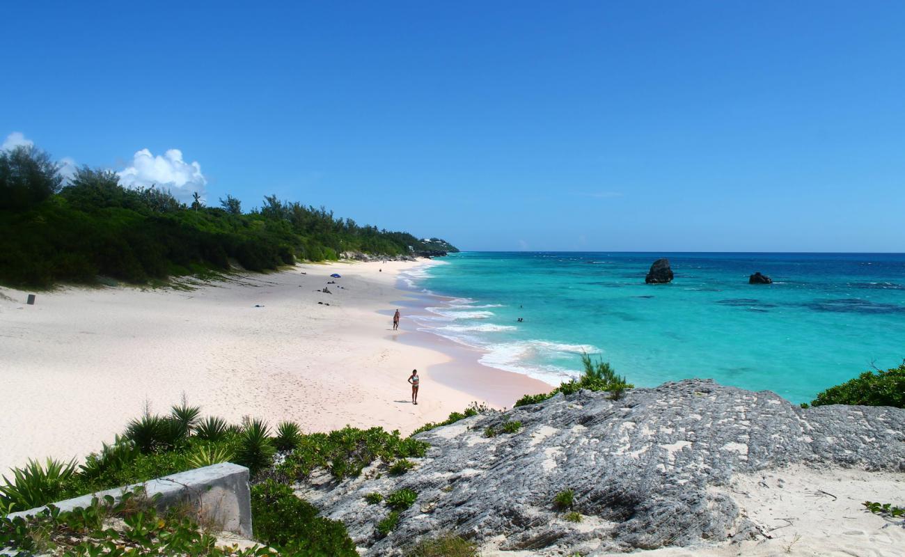 Фото Warwick Long Bay Beach с золотистый песок поверхностью