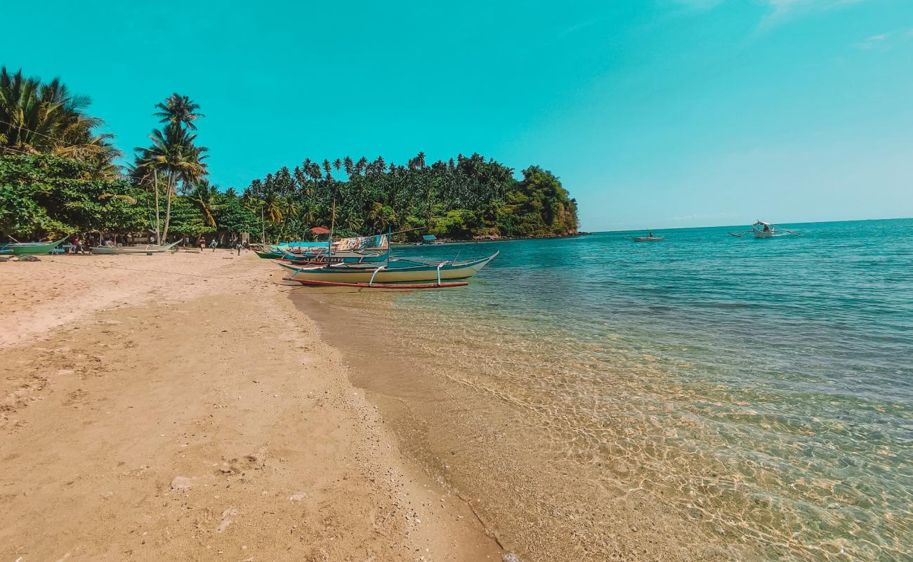 Фото Polacay Beach с светлый песок поверхностью