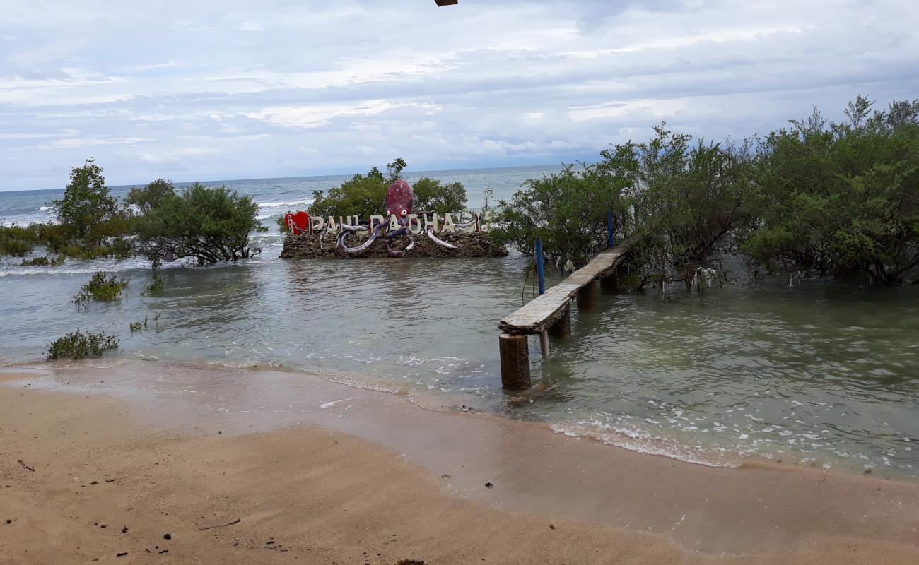 Фото CPAC Beach с светлый песок поверхностью