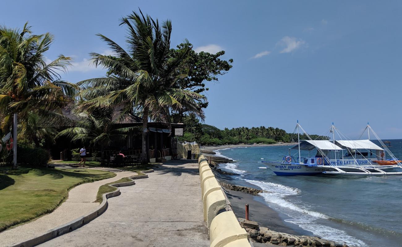 Фото Zamboanguita Beach с серый песок поверхностью