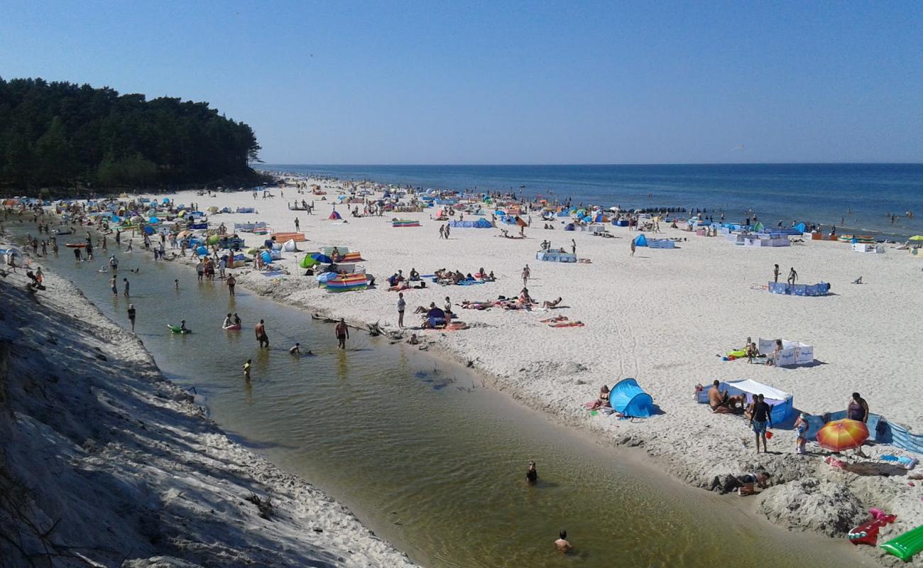 Фото Pyasnitsa Beach (nr 25) с золотистый песок поверхностью