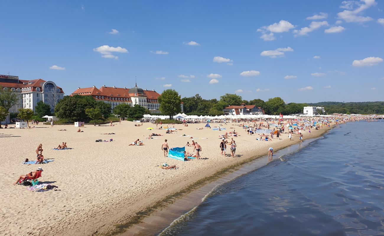 Фото Plaza Sopot с золотистый песок поверхностью