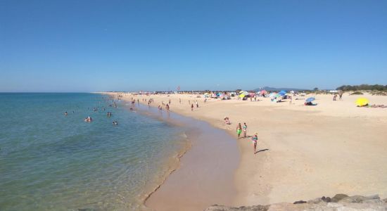 Praia da Ilha de Tavira