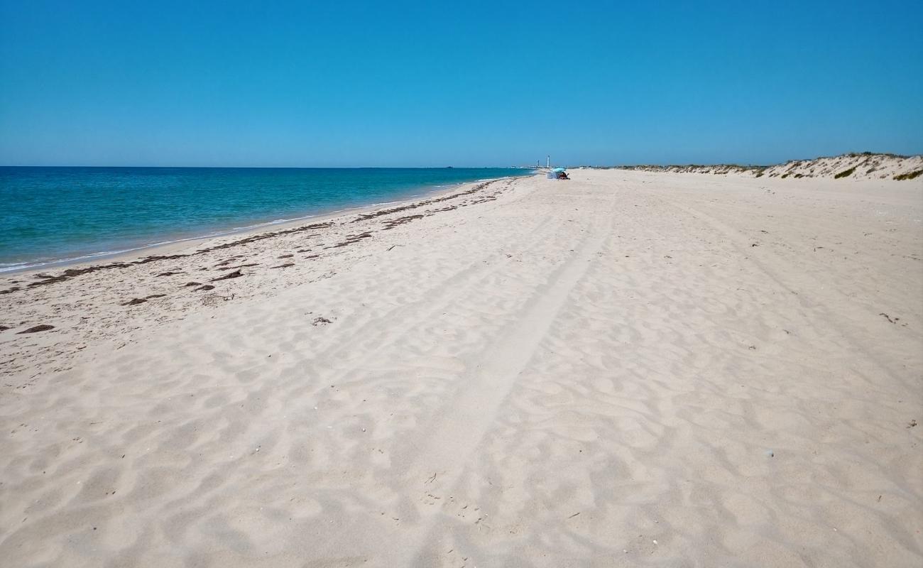 Фото Ilha da Culatra с золотистый песок поверхностью