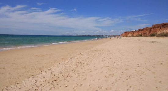 Praia dos Tomates