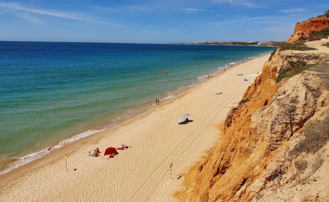 Фото Praia da Falesia с темный песок поверхностью