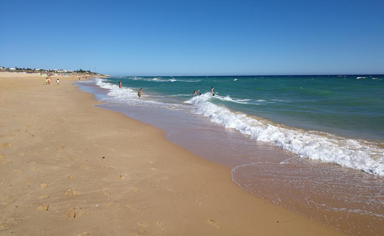 Фото Praia dos Salgados с темный чистый песок поверхностью