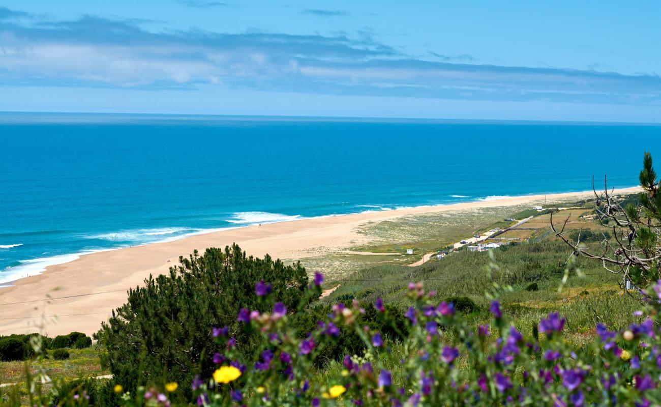 Фото North Beach с золотистый песок поверхностью