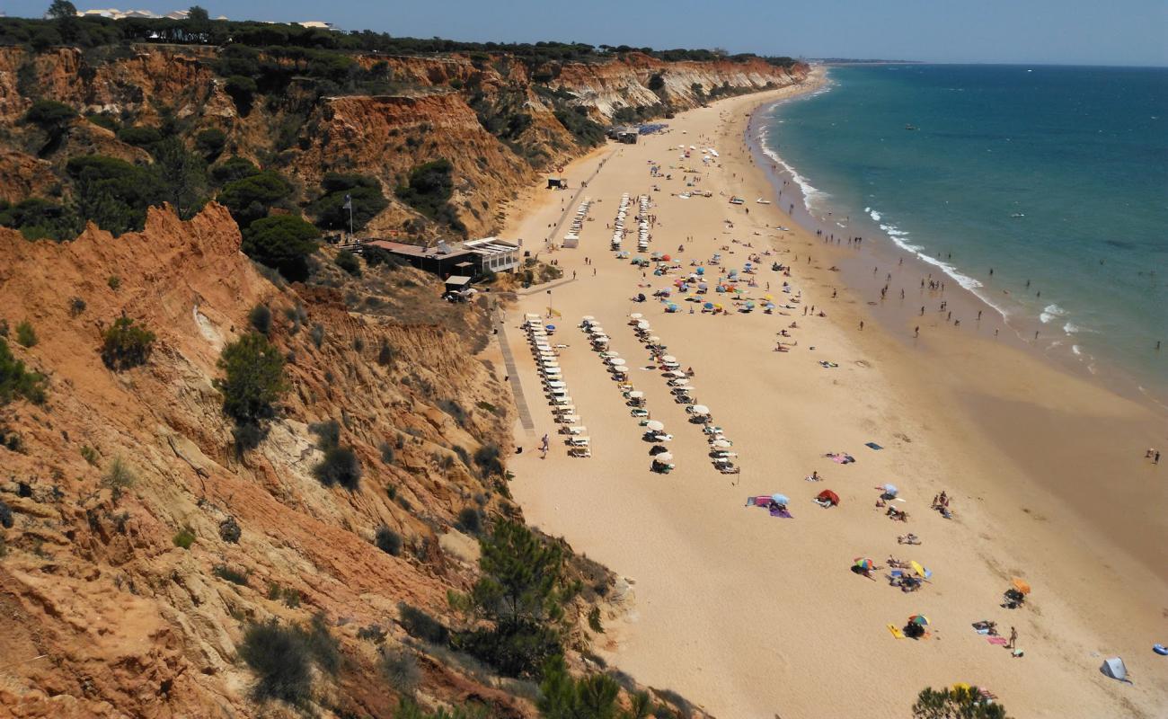 Фото Praia da falesia с золотистый песок поверхностью