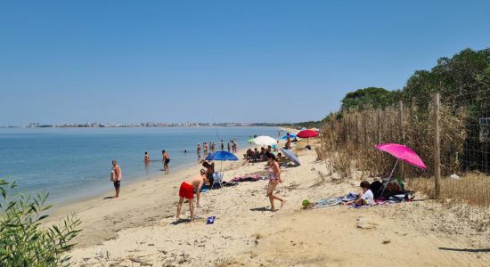 Praia da Ponta dos Corvos