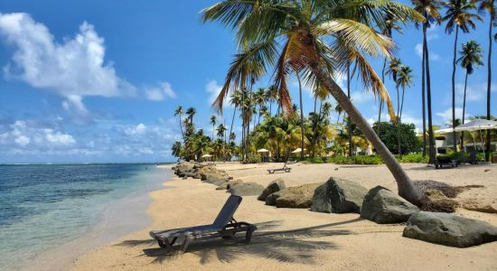 Playa Punta Miquillo