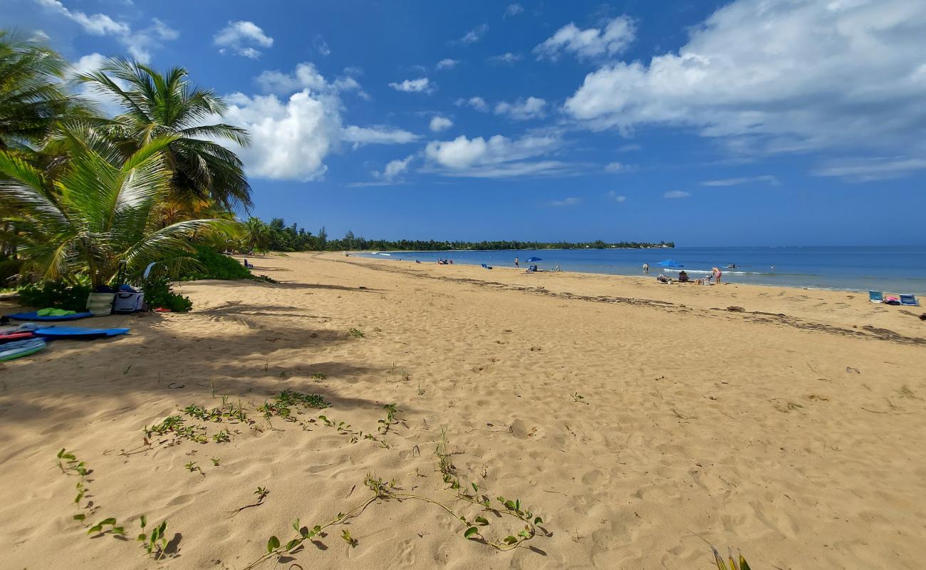 Фото Playa las Picuas с светлый песок поверхностью